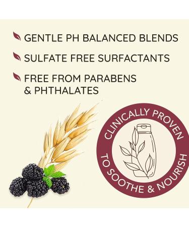 Aveeno Blackberry & Quinoa Strengthening Shampoo for Colour-Treated Hair Moisturizing Colour-Protecting 354 milliliters - Buy Online on GoSupps.com