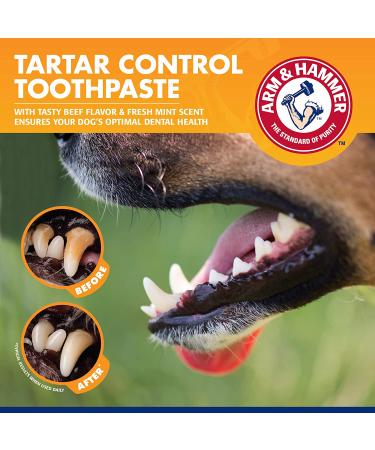 Arm & Hammer Tartar Control Enzymatic Dog Toothpaste - Beef Flavor 2.5 oz - Buy Online on GoSupps.com