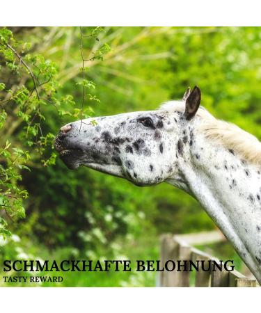 Buy Red Betete Horse Treats - Cereal-Free Beetroot Flavor 1kg | Ideal for Sports Leisure & Breeding Horses - Buy Online on GoSupps.com