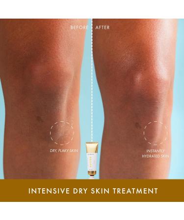 54 Thrones African Beauty Shea Butter Intensive Dry Skin Support Moisturizing Body Butter for Women Moisturizing Body Balm and Cream Locks in Moisture Ugandan Vanilla + Ethiopian Honey 1.7 oz Vanilla & Honey - Buy Online on GoSupps.com