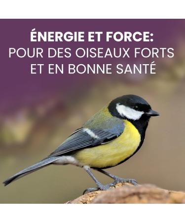 LERAVA - Bird Seeds Premium Quality - 800g - Wild Bird Food Mix - Ideal for the Garden and Winter - - Buy Online on GoSupps.com