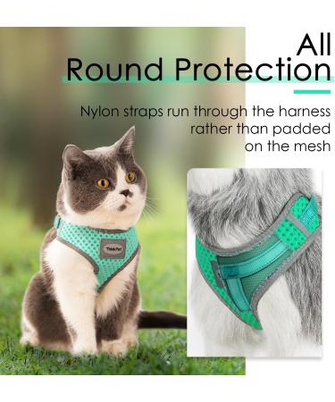 Thinkpet No-Pull Dog Harness & Leash Set | Breathable Adjustable Soft Harness for Small to Large Dogs - 2XS Green - Buy Online on GoSupps.com