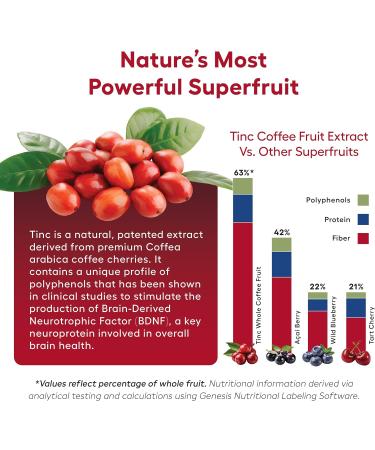 Tinc Daily Brain Supplement & Booster - 60 SERVINGS - Buy Online on GoSupps.com