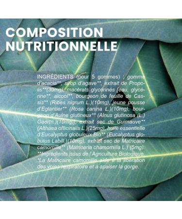 Santarome Bio Breathing Rubber Bio irritated throat propolis 45 chewing gum France - Buy Online on GoSupps.com