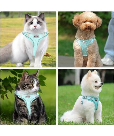 MOSTFUN Escape Proof Cat Harness and Leash Set | Adjustable Soft Mesh Design with Reflective Stripe | Ideal for Small to Medium Cats | Green - Buy Online on GoSupps.com