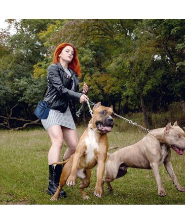 Aocclant Dog Training Treat Bag with Hip Belt - 3 Carrying Options for Toys Food & Essentials - Blue - Buy Online on GoSupps.com