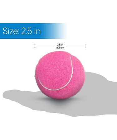 RMS Walker Glide Balls - Set of 2 Pink Balls for Easy Installation on Most Walkers - Buy Online on GoSupps.com