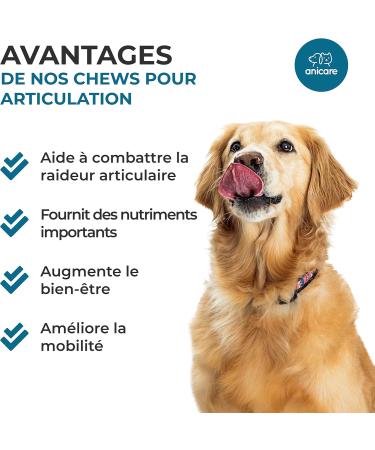 Anicare Premium Joint Care: Chewable Joint Treats! with Glucosamine Chondroitin MSM and Green-Lipped Mussels - Buy Online on GoSupps.com
