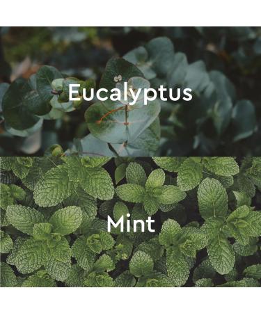 Kneipp Under The Weather Eucalyptus Aromatherapy Bubble BathGood for Respiratory Wellness - Vegan - Sulfate Free - 13.5 fl oz - Buy Online on GoSupps.com