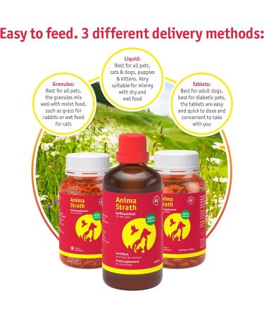 Anima-Strath Natural Food Supplement for Dogs & Cats | Immune System & Digestive Care with 61 Vital Nutrients Vitamins Minerals Amino Acids & Prebiotic Qualities | BARF Diet Food Topper (250 ml) Herbal 250 ml (Pack of 1) - Buy Online on GoSupps.com