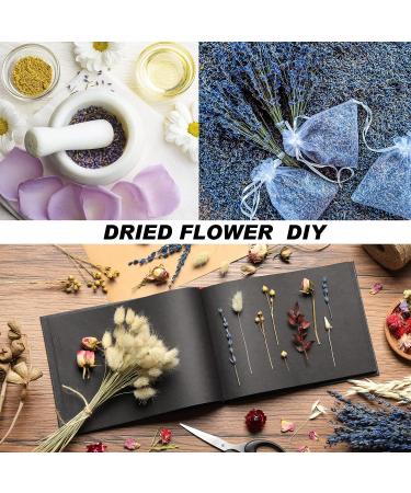 12 Bag Natural Dried Flowers Herbs Kit - Bulk Dry for Soap Making, DIY Candle, Resin Jewelry, Decor or Bath - Lavender, Rose Petals, Jasmine, Rosebuds, Lily, Lemon & More - Buy Online on GoSupps.com