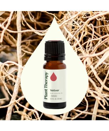 Plant Therapy Vetiver Essential Oil 100% Pure Undiluted Natural Aromatherapy Therapeutic Grade 10 mL (1/3 oz) Vetiver 0.33 Fl Oz (Pack of 1) - Buy Online on GoSupps.com