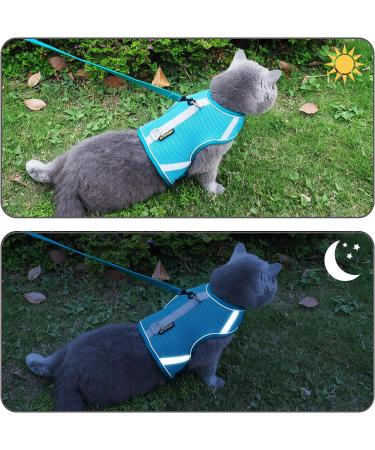 Cat Dishes & Leash Set - Reflective Patrol Gear for Cats | International Shipping Available - Buy Online on GoSupps.com