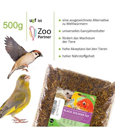 UGF Soldier Fly Larvae (500g) - Superior to Dried Mealworms - 85x Calcium - Ideal Treats for Birds Turtles Rodents & More - Buy Online on GoSupps.com