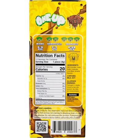 ONE UP Salted Caramel Mushroom Chocolate Bar 1.76 oz. - Buy Online on GoSupps.com
