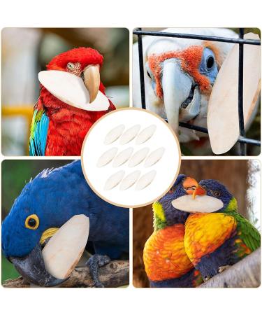 20 Pieces Tall Sepia Shells - Natural Sepia Bowls for Turtles Birds & Reptiles | Cuddly Bones & Feed Toys - Buy Online on GoSupps.com