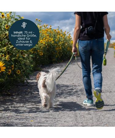 Flexeo Wound Spray for Dogs & Cats - 75ml - Effective Wound Cleaning Spray for All Animals - Buy Online on GoSupps.com