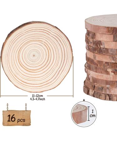 Lemonfilter Natural Wood Slices 16 Pcs 4.3-4.7 Inches - Craft Wood Kit for DIY Projects, Arts, Crafts, Wedding Decor - Unfinished Wooden Circles 11-12CM - Buy Online on GoSupps.com