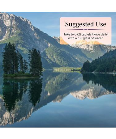 Nature's Secret Respiratory Support 60 ct - Promotes Respiratory Health - Buy Online on GoSupps.com