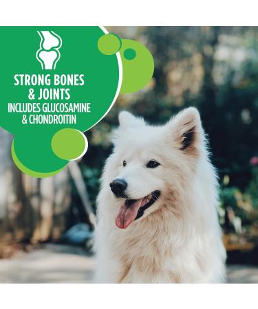 IAMS Proactive Health Dog Food Dry Adult Large Breed Chicken & Whole Grains Recipe + IAMS Proactive Health Dry Dog Food - Mature (7+) - Original Dog Food+ Dog Food 6.8kg 6.80 kg (Pack of 1) - Buy Online on GoSupps.com