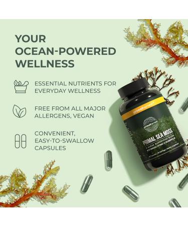 Primal Harvest Sea Moss Capsules with Bladderwack and Irish Sea Moss Chlorella Broccoli Seed Extract Plant-Based Supplements for Adults - Buy Online on GoSupps.com