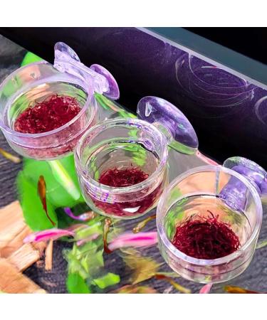 Buy PIZSIEAT 8-Piece Aquarium Plants Set | Suction Cup Decorative Glass Pots for Mini Fish Tanks & Aquatic Landscapes - Buy Online on GoSupps.com