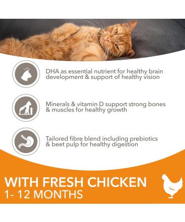IAMS Kitten Dry Cat Food Chicken 3kg - Buy Online on GoSupps.com