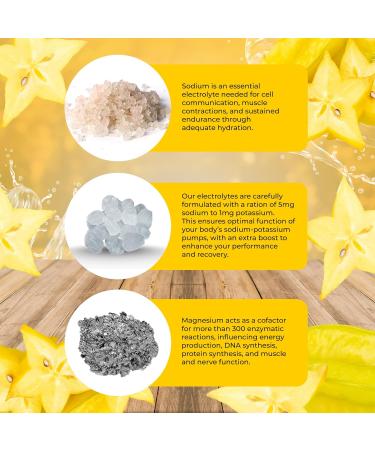 Santa Cruz Paleo Electrolytes - Starfruit - 4.4 Oz. - 30 Servings - Buy Online on GoSupps.com