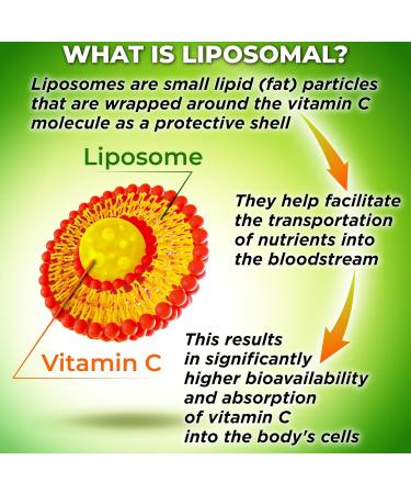 Bone & Immune Support Bundle Liposomal Vitamin C 1100mg Liquid Gel enriched with Acerola Cherry & Plant-Based Calcium (from Aquamin ) Magnesium Zinc D3 K2 + Turmeric Clean Wellness Support - Buy Online on GoSupps.com