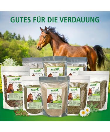 Stiefel Flea Seed husks 1 kg - Buy Online on GoSupps.com