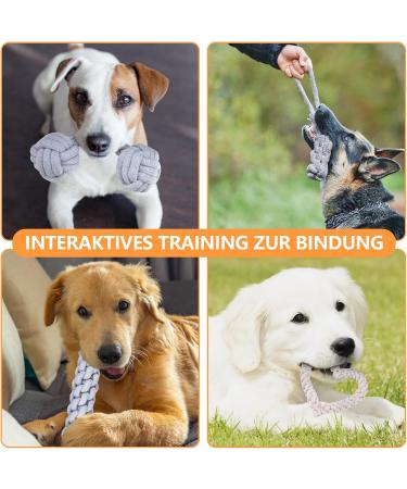 Cabertary 6-Piece Indestructible Dog Toy Set | Chewing Rope Knot Balls for Small & Medium Dogs | Robust Dental Care Toys - Buy Online on GoSupps.com