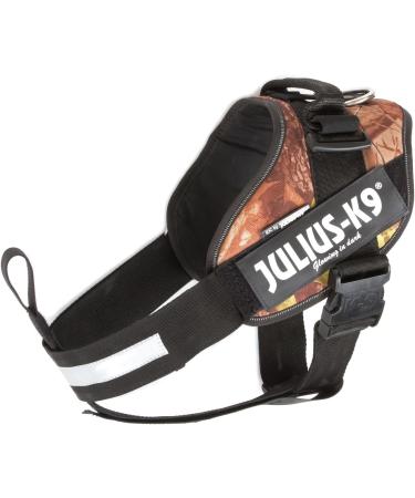 Julius-K9 I-Gurt Safety Belt for Dogs (7-23 kg) - Black Mini Schutzhund | International Shipping - Buy Online on GoSupps.com