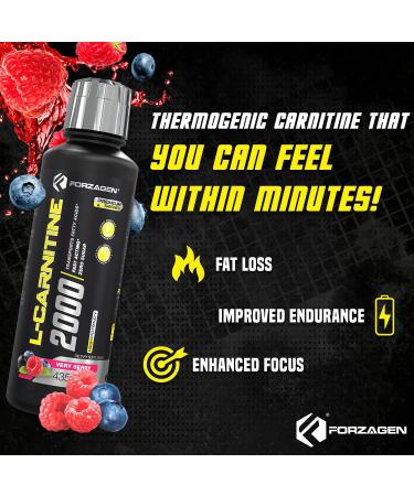 Forzagen L-Carnitine 2000 Liquid with Vitamin B6 - Acetyl L-Carnitine & L-Tartrate - 30 Servings (Very Berry) - Buy Online on GoSupps.com