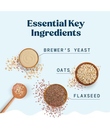 Lactation Brownie Mix - Double Chocolate Breastfeeding Supplement for Increased Breast Milk Supply - Buy Online on GoSupps.com