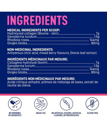 LEANFIT COLLAGEN & BRAIN Raspberry - 7g Collagen + Reishi + Ginkgo + Rhodiola - Enhances Memory & Cognitive Function in Adults - 25 Servings 245g tub - Buy Online on GoSupps.com