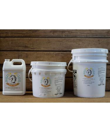 Smart Earth Camelina Oil for Horses - Natural Nutritional Supplement for Coat Hooves and Joints - Horse Oil - Omega 3 6 & 9 - Equine Care - Camelina Oil for Joint Health (13.25L) - Buy Online on GoSupps.com