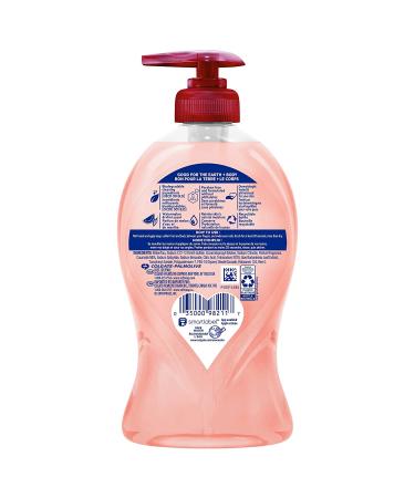Softsoap Watermelon & Mint Moisturizing Liquid Hand Soap Pump - 11.25 oz (Pack of 6) - Buy Online on GoSupps.com