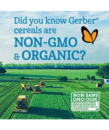 Nestle Gerber Nestle Gerber Mixed Grains with Fruit Baby Cereal 227g Box - Buy Online on GoSupps.com