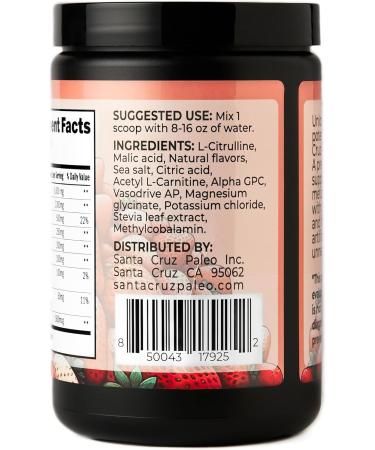 Santa Cruz Paleo Natural Pre Workout Powder with Electrolytes Magnesium 30 Servings - Strawberry - 13.4 Oz - Buy Online on GoSupps.com
