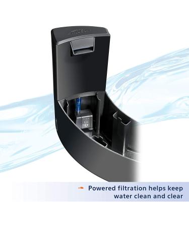 Aqueon Betta Falls Aquarium Kit with QuietFlow Filter - 3 Section Fish Tank - Buy Online on GoSupps.com