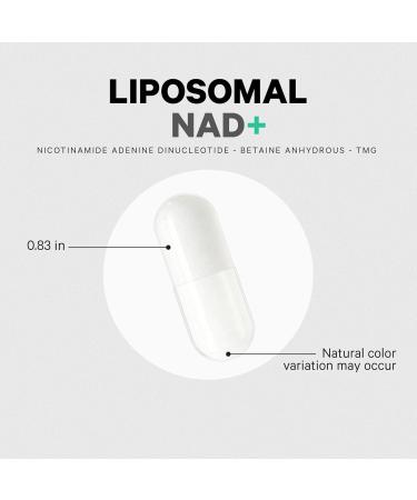 Codeage Liposomal NAD+ Supplement - NAD Nicotinamide Adenine Dinucleotide Coenzyme Pills - 500 mg NAD+ Per Serving & Betaine Anhydrous - Liposomal Delivery - Vegan Non-GMO Gluten-Free - 60 Capsules - Buy Online on GoSupps.com