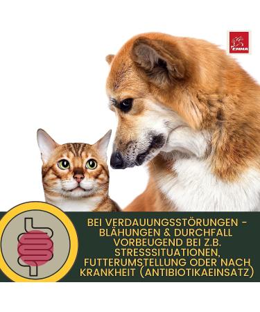 Intestinal Cure Cat Active Herbs Drops I First Aid Digestion - Gastrointestinal Intestinal Flora I Restorative Food - Diarrhea Flatulence I Intestinal Sanitation 30ml - Buy Online on GoSupps.com