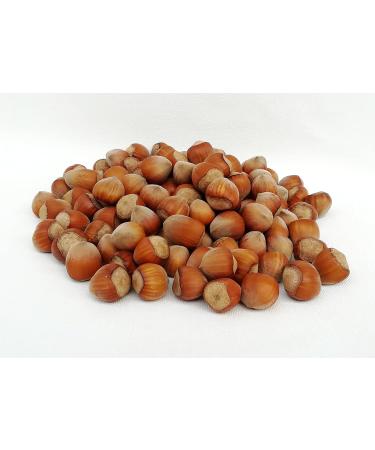 IGART Hazelnuts in the Shell 5kg | Natural & Tasty Eco Quality | Harvest 2023 - Buy Online on GoSupps.com