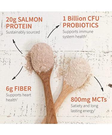 GoSupps.com - Garden of Life MD Protein Plant & Sustainable Salmon Rich Chocolate 24.19 oz (686 g) - Buy Online on GoSupps.com