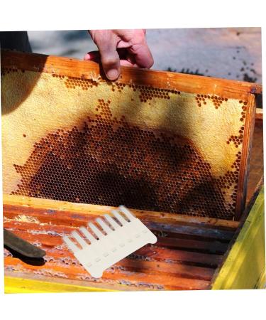 POPETPOP 3 Pcs Pulp Taking Pen Bee Hive Honey Scrape Pen Royal Jelly Extractor Outdoor Tools 9.6X8.2X0.2cmx3pcs Whitex3pcs - Buy Online on GoSupps.com