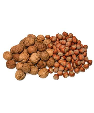 Igart hazelnuts 10kg + walnuts 15kg in the shell |Mix |Hazelnuts |Walnuts |Tasty ripe walnuts |Untreated |Eco quality |Harvest 2023 |Delicacies |Supernut |Natural lamps 10kg hazelnuts + 15kg walnuts