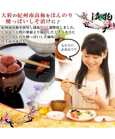Kishu Nanko Plum Down Salt Shiso Plum Collapse Plum 1kg (500gX2) - 5% Salt | Premium Quality - Buy Online on GoSupps.com