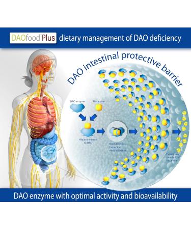 DAOFOOD PLUS - Digestive Enzyme Supplement for DAO Deficiency - 60 Gastric-Resistant Capsules with Quercetin & Vitamin C - Boost Digestive Health Internationally - Buy Online on GoSupps.com