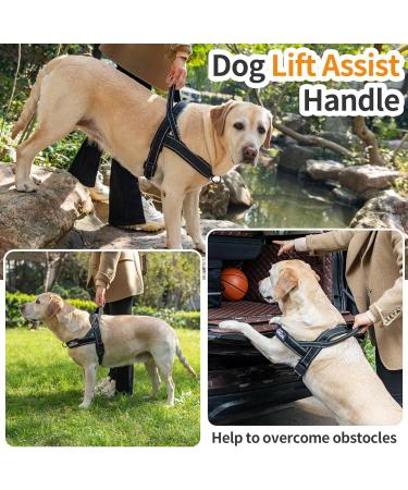 Eeyfarog No Pull Dog Harness for Small & Medium Dogs - Reflective Adjustable Safe Black - Ideal for Comfort & Control - Buy Online on GoSupps.com