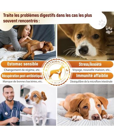 GastroBalance Probiotic Dog Treatment 60 Natural Probiotic Dog Intestinal Flora Croquettes Bacon Flavor (French) - Buy Online on GoSupps.com